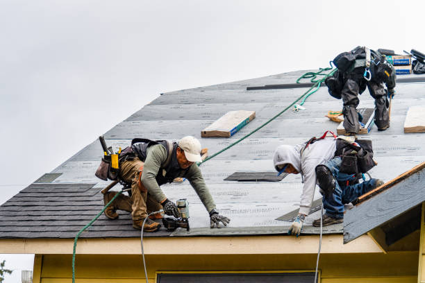 Professional Storm Damage Roof Repair technician working in Clinton, NC